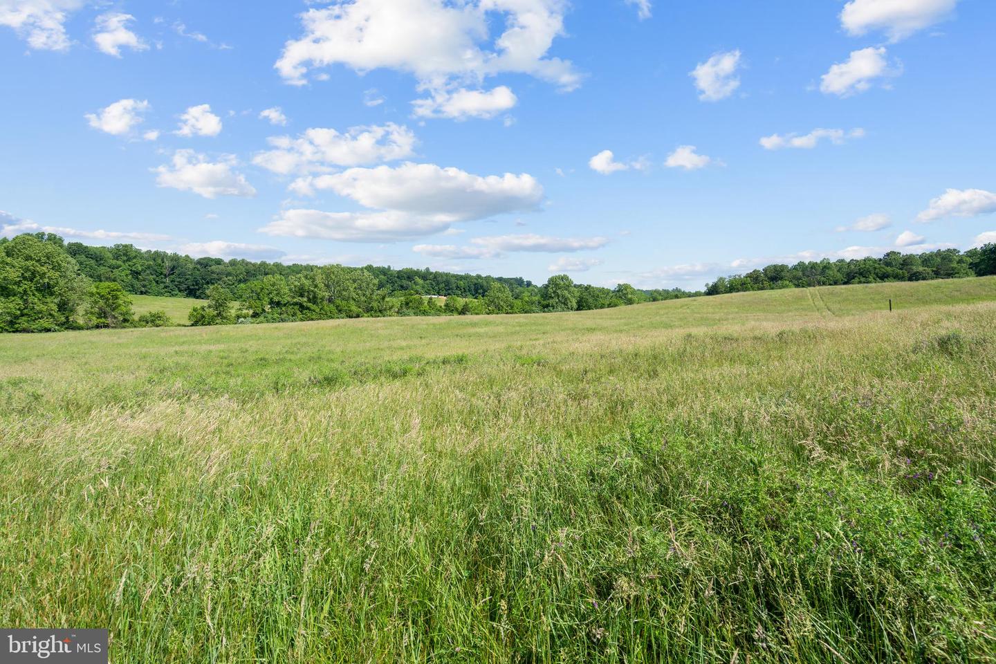 PARCEL 4 (TAX ID 7-41G) ELLETT LN, RIXEYVILLE, Virginia 22737, ,Land,For sale,PARCEL 4 (TAX ID 7-41G) ELLETT LN,VACU2010808 MLS # VACU2010808