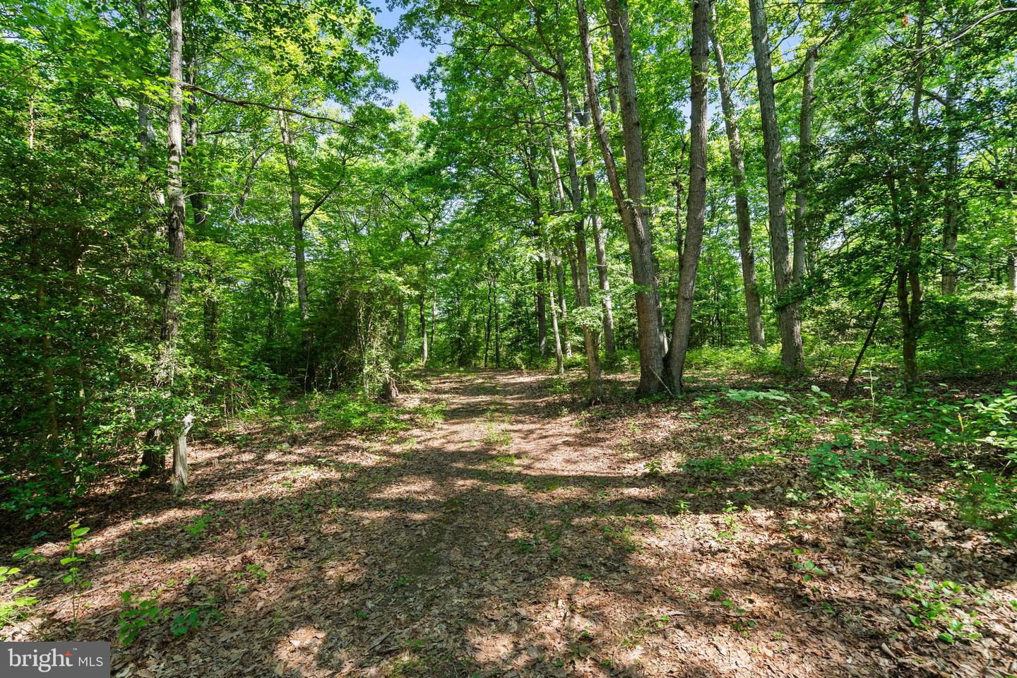 PARCEL 4 (TAX ID 7-41G) ELLETT LN, RIXEYVILLE, Virginia 22737, ,Land,For sale,PARCEL 4 (TAX ID 7-41G) ELLETT LN,VACU2010808 MLS # VACU2010808