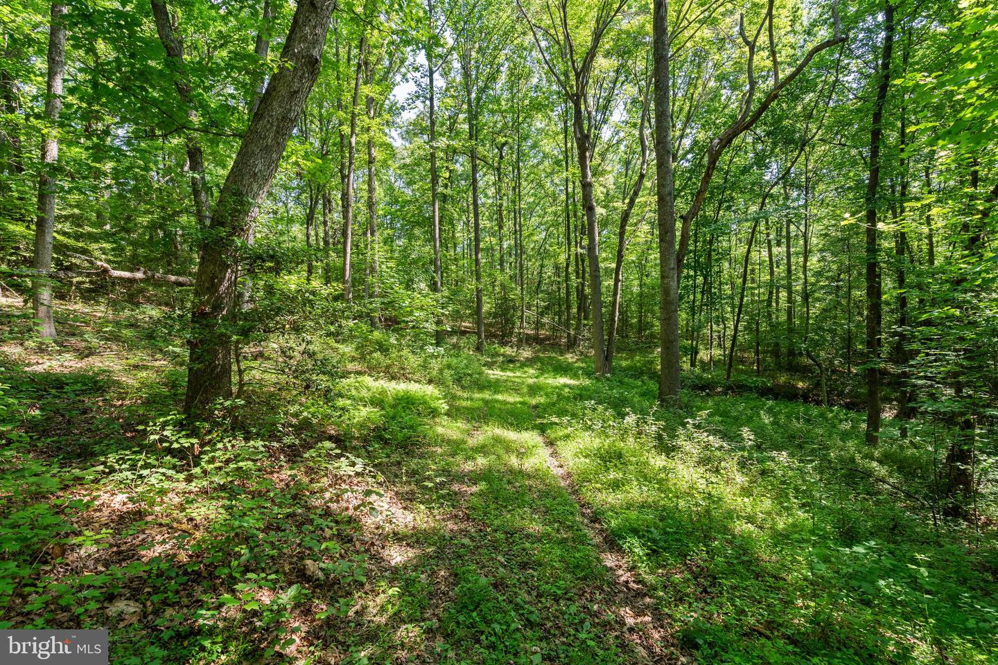 PARCEL 4 (TAX ID 7-41G) ELLETT LN, RIXEYVILLE, Virginia 22737, ,Land,For sale,PARCEL 4 (TAX ID 7-41G) ELLETT LN,VACU2010808 MLS # VACU2010808