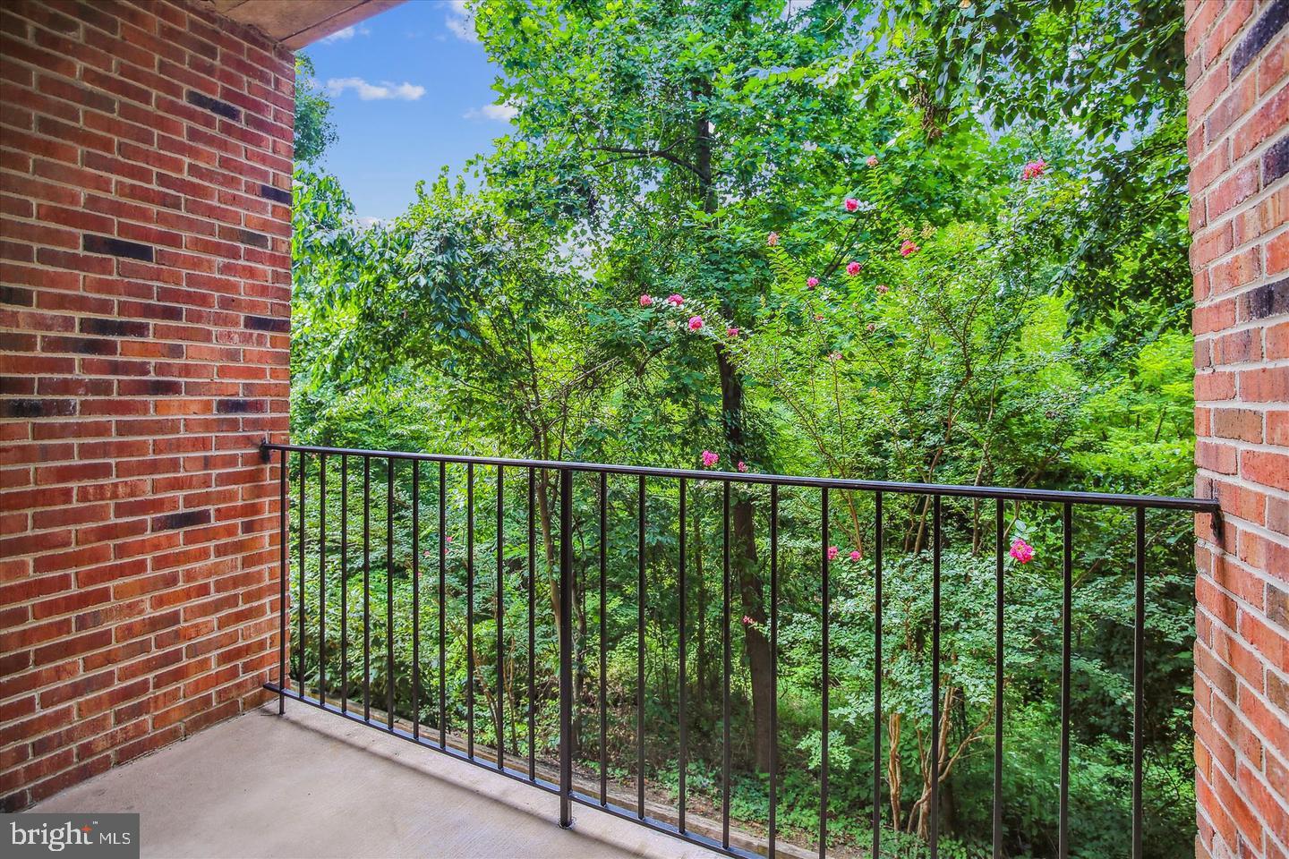 3744-A MADISON LN, FALLS CHURCH, Virginia 22041, 2 Bedrooms Bedrooms, ,2 BathroomsBathrooms,Residential,For sale,3744-A MADISON LN,VAFX2245852 MLS # VAFX2245852