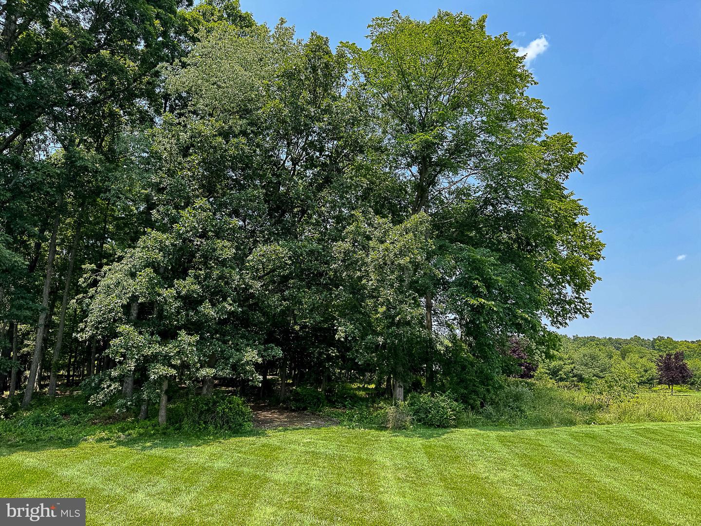20899 MCINTOSH PL, LEESBURG, Virginia 20175, 5 Bedrooms Bedrooms, ,4 BathroomsBathrooms,Residential,For sale,20899 MCINTOSH PL,VALO2099664 MLS # VALO2099664