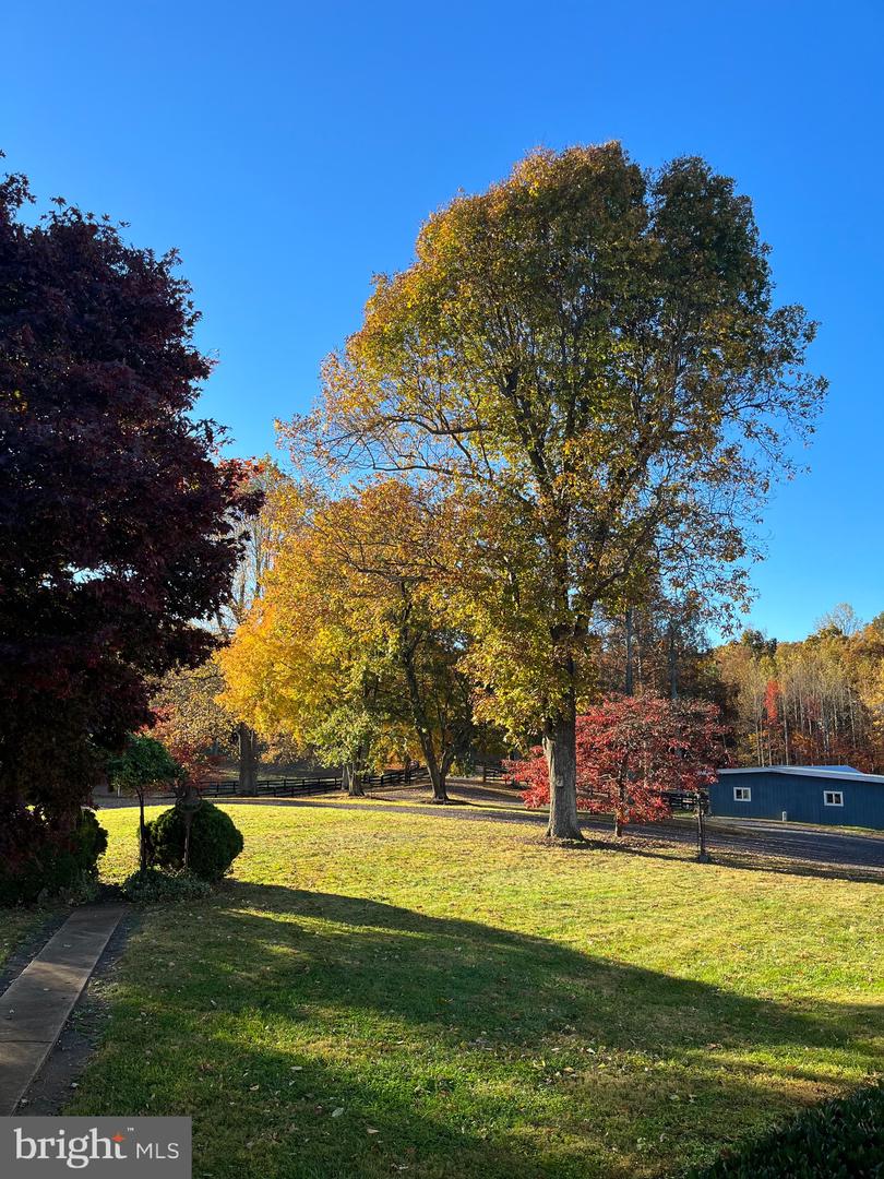 409 COOK MOUNTAIN DR, BRIGHTWOOD, Virginia 22715, 4 Bedrooms Bedrooms, ,3 BathroomsBathrooms,Residential,For sale,409 COOK MOUNTAIN DR,VAMA2002302 MLS # VAMA2002302