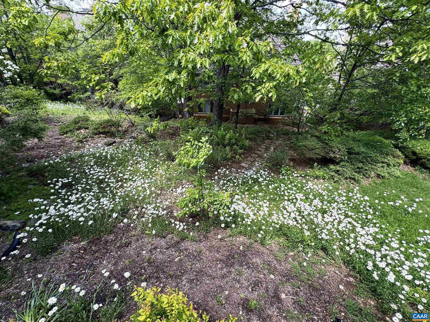 18 BRIARWOOD LN, WINTERGREEN RESORT, Virginia 22967, 2 Bedrooms Bedrooms, ,2 BathroomsBathrooms,Residential,For sale,18 BRIARWOOD LN,665791 MLS # 665791