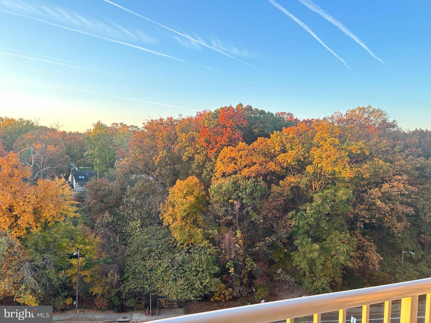 2500 N VAN DORN ST #916, ALEXANDRIA, Virginia 22302, ,1 BathroomBathrooms,Residential,For sale,2500 N VAN DORN ST #916,VAAX2043330 MLS # VAAX2043330