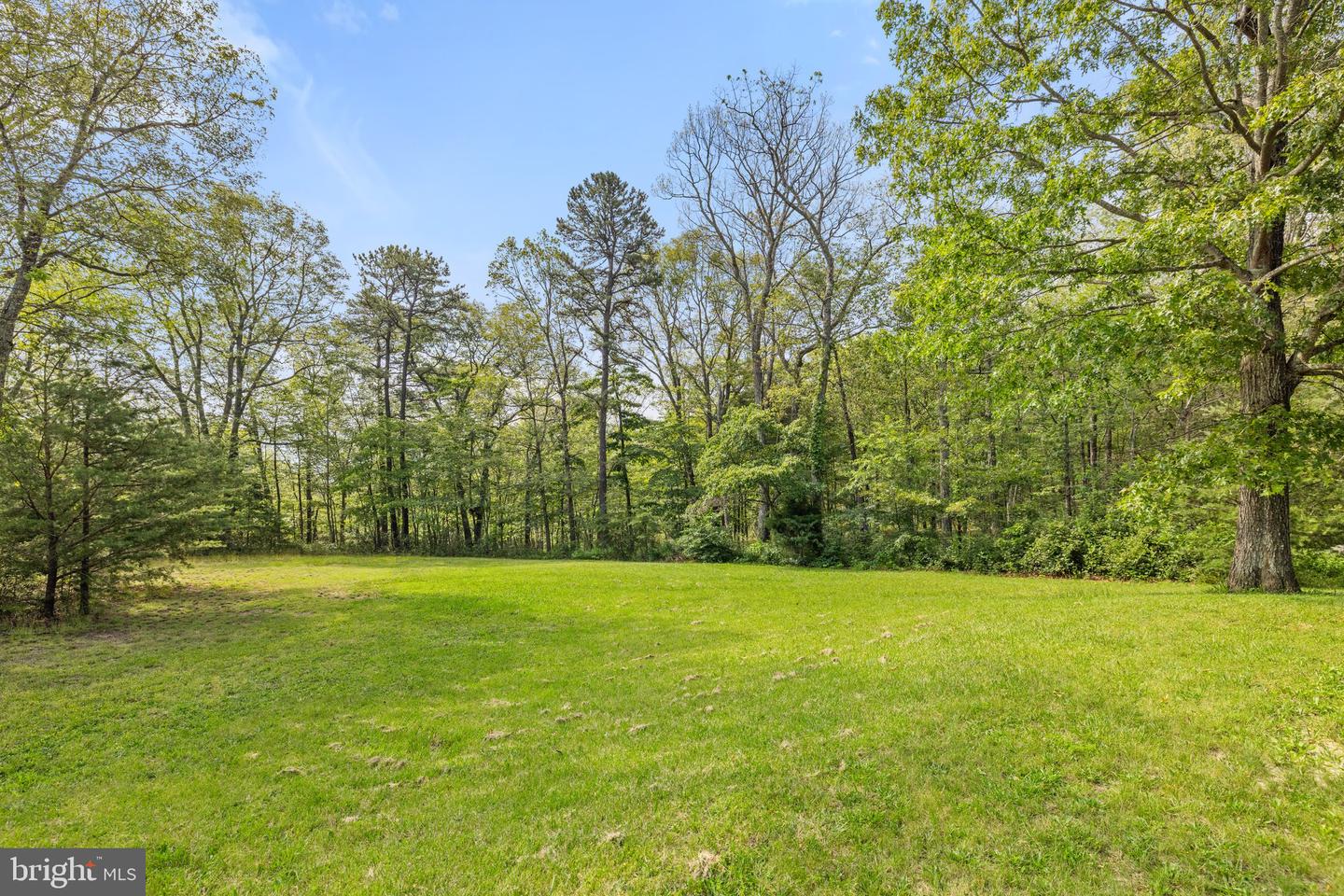 553 MOUNT OF OLIVES TRL, FORT VALLEY, Virginia 22652, 6 Bedrooms Bedrooms, 12 Rooms Rooms,3 BathroomsBathrooms,Residential,For sale,553 MOUNT OF OLIVES TRL,VASH2011692 MLS # VASH2011692