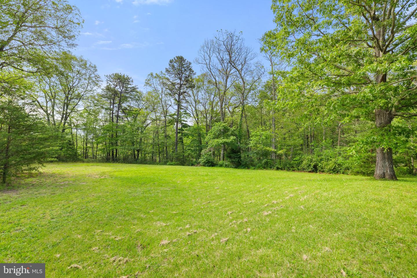 553 MOUNT OF OLIVES TRL, FORT VALLEY, Virginia 22652, 6 Bedrooms Bedrooms, 12 Rooms Rooms,3 BathroomsBathrooms,Residential,For sale,553 MOUNT OF OLIVES TRL,VASH2011692 MLS # VASH2011692