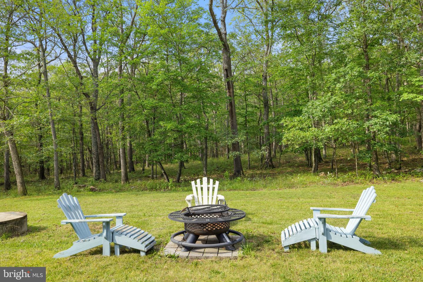 553 MOUNT OF OLIVES TRL, FORT VALLEY, Virginia 22652, 6 Bedrooms Bedrooms, 12 Rooms Rooms,3 BathroomsBathrooms,Residential,For sale,553 MOUNT OF OLIVES TRL,VASH2011692 MLS # VASH2011692