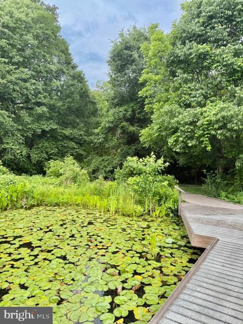 13704 CABELLS MILL DR, CENTREVILLE, Virginia 20120, 4 Bedrooms Bedrooms, ,2 BathroomsBathrooms,Residential,For sale,13704 CABELLS MILL DR,VAFX2246852 MLS # VAFX2246852