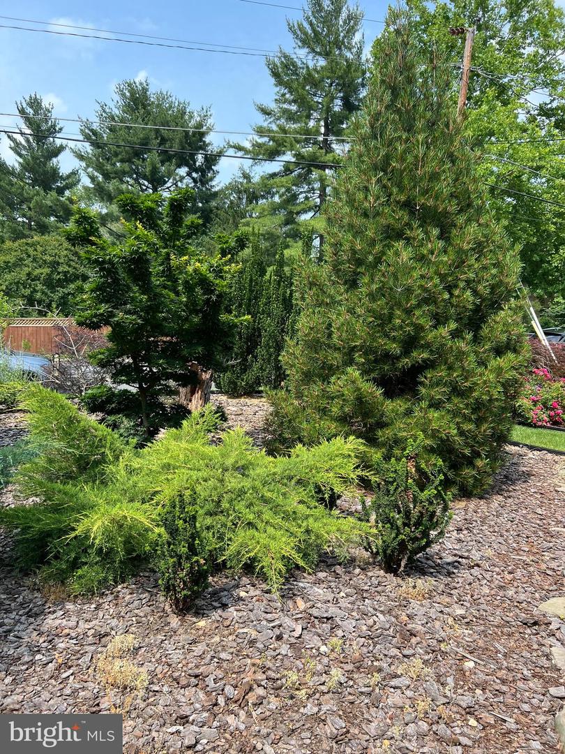 3111 MARL PAT DR, ALEXANDRIA, Virginia 22310, 3 Bedrooms Bedrooms, ,3 BathroomsBathrooms,Residential,For sale,3111 MARL PAT DR,VAFX2247318 MLS # VAFX2247318