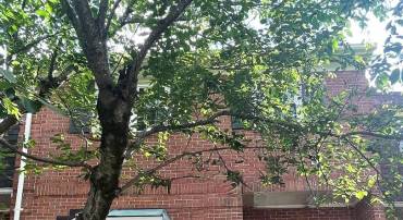 8259 CEDAR LANDING CT, ALEXANDRIA, Virginia 22306, 4 Bedrooms Bedrooms, ,3 BathroomsBathrooms,Residential,For sale,8259 CEDAR LANDING CT,VAFX2247390 MLS # VAFX2247390