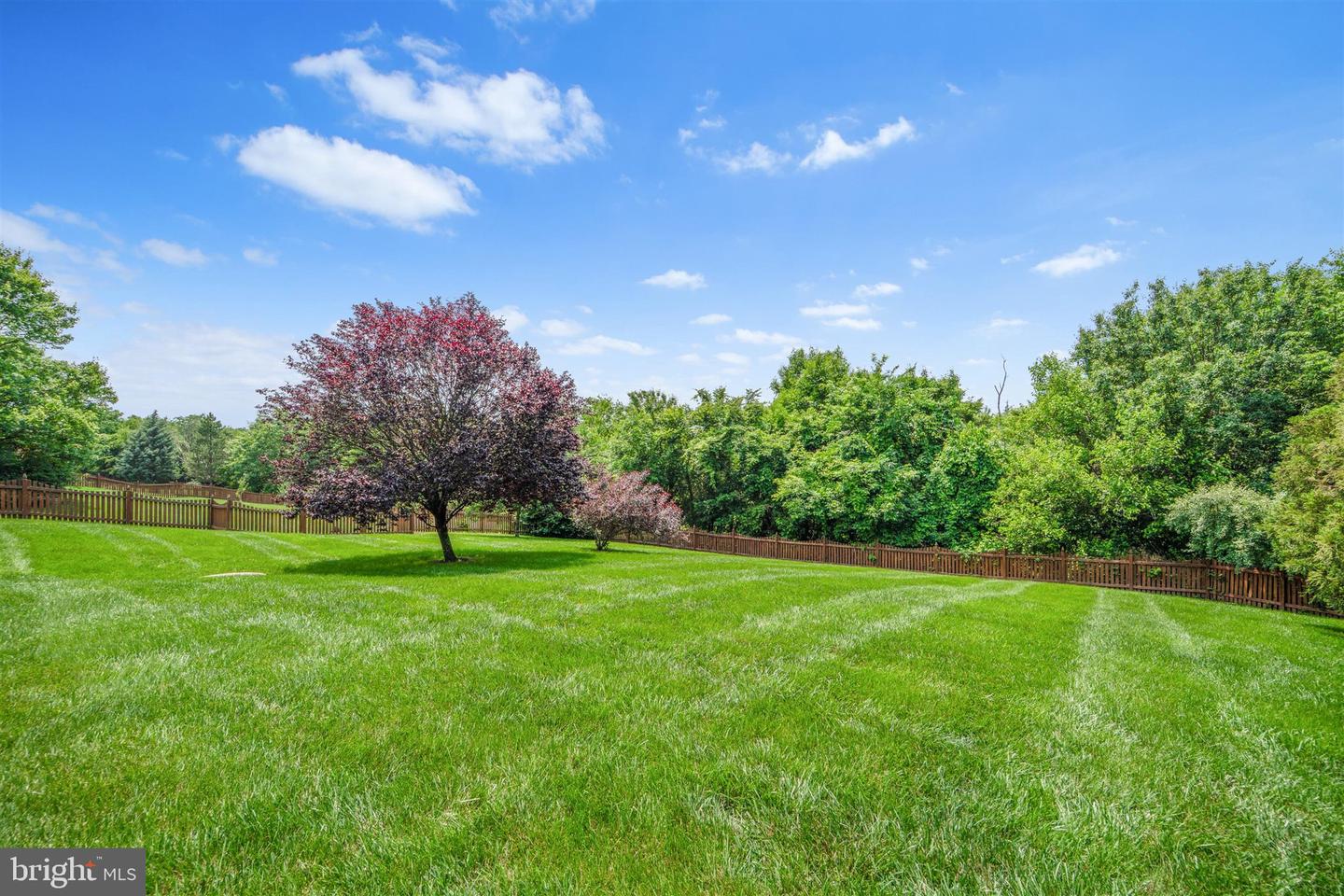 20585 WILD MEADOW CT, ASHBURN, Virginia 20147, 6 Bedrooms Bedrooms, ,5 BathroomsBathrooms,Residential,For sale,20585 WILD MEADOW CT,VALO2099634 MLS # VALO2099634