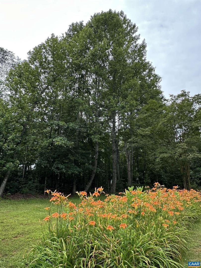 604 COLES ROLLING RD, SCOTTSVILLE, Virginia 24590, 3 Bedrooms Bedrooms, ,2 BathroomsBathrooms,Residential,For sale,604 COLES ROLLING RD,665793 MLS # 665793