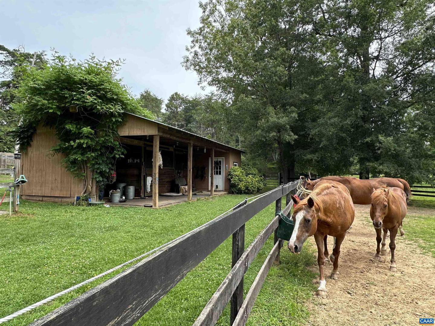 604 COLES ROLLING RD, SCOTTSVILLE, Virginia 24590, 3 Bedrooms Bedrooms, ,2 BathroomsBathrooms,Residential,For sale,604 COLES ROLLING RD,665793 MLS # 665793