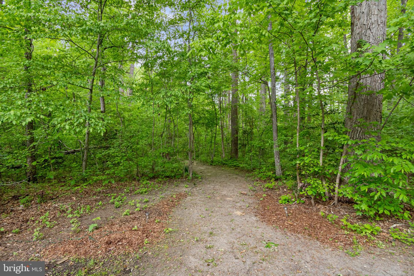 10108 ROCKINGHORSE LN, SPOTSYLVANIA, Virginia 22553, 4 Bedrooms Bedrooms, ,4 BathroomsBathrooms,Residential,For sale,10108 ROCKINGHORSE LN,VASP2033984 MLS # VASP2033984