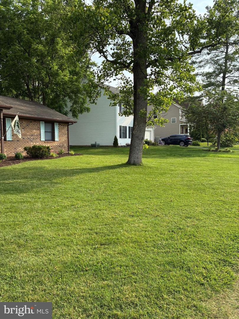817 MAPLE AVE, WAYNESBORO, Virginia 22980, 3 Bedrooms Bedrooms, ,2 BathroomsBathrooms,Residential,For sale,817 MAPLE AVE,VAWB2000176 MLS # VAWB2000176