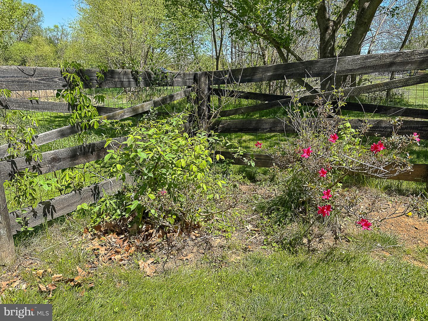 12773 BEEBE CT, LOVETTSVILLE, Virginia 20180, 6 Bedrooms Bedrooms, ,5 BathroomsBathrooms,Residential,For sale,12773 BEEBE CT,VALO2099722 MLS # VALO2099722