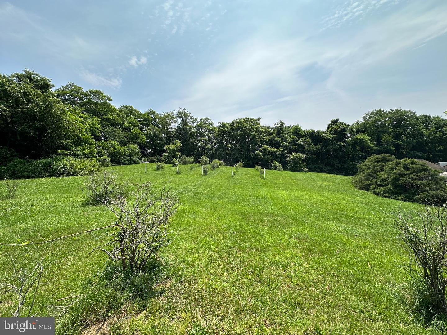 STONY CREEK BLVD #LOT C, EDINBURG, Virginia 22824, ,Land,For sale,STONY CREEK BLVD #LOT C,VASH2011730 MLS # VASH2011730