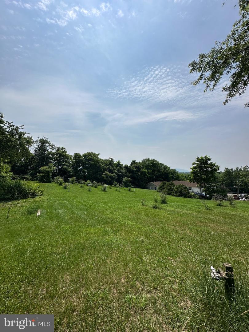 STONY CREEK BLVD #LOT C, EDINBURG, Virginia 22824, ,Land,For sale,STONY CREEK BLVD #LOT C,VASH2011730 MLS # VASH2011730