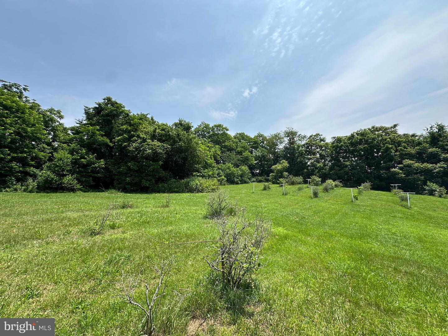 STONY CREEK BLVD #LOT C, EDINBURG, Virginia 22824, ,Land,For sale,STONY CREEK BLVD #LOT C,VASH2011730 MLS # VASH2011730