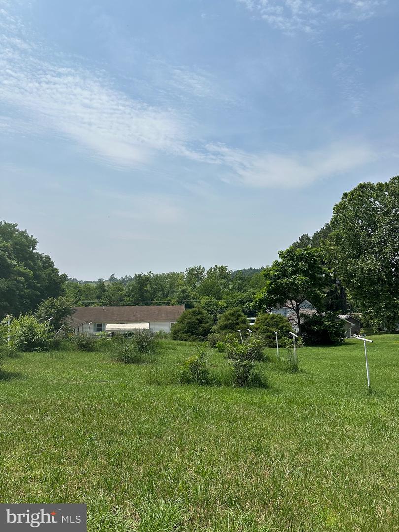 STONY CREEK BLVD #LOT C, EDINBURG, Virginia 22824, ,Land,For sale,STONY CREEK BLVD #LOT C,VASH2011730 MLS # VASH2011730