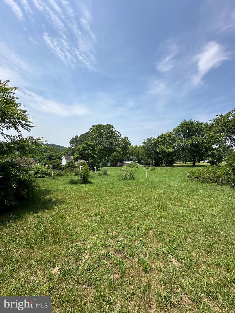STONY CREEK BLVD #LOT C, EDINBURG, Virginia 22824, ,Land,For sale,STONY CREEK BLVD #LOT C,VASH2011730 MLS # VASH2011730