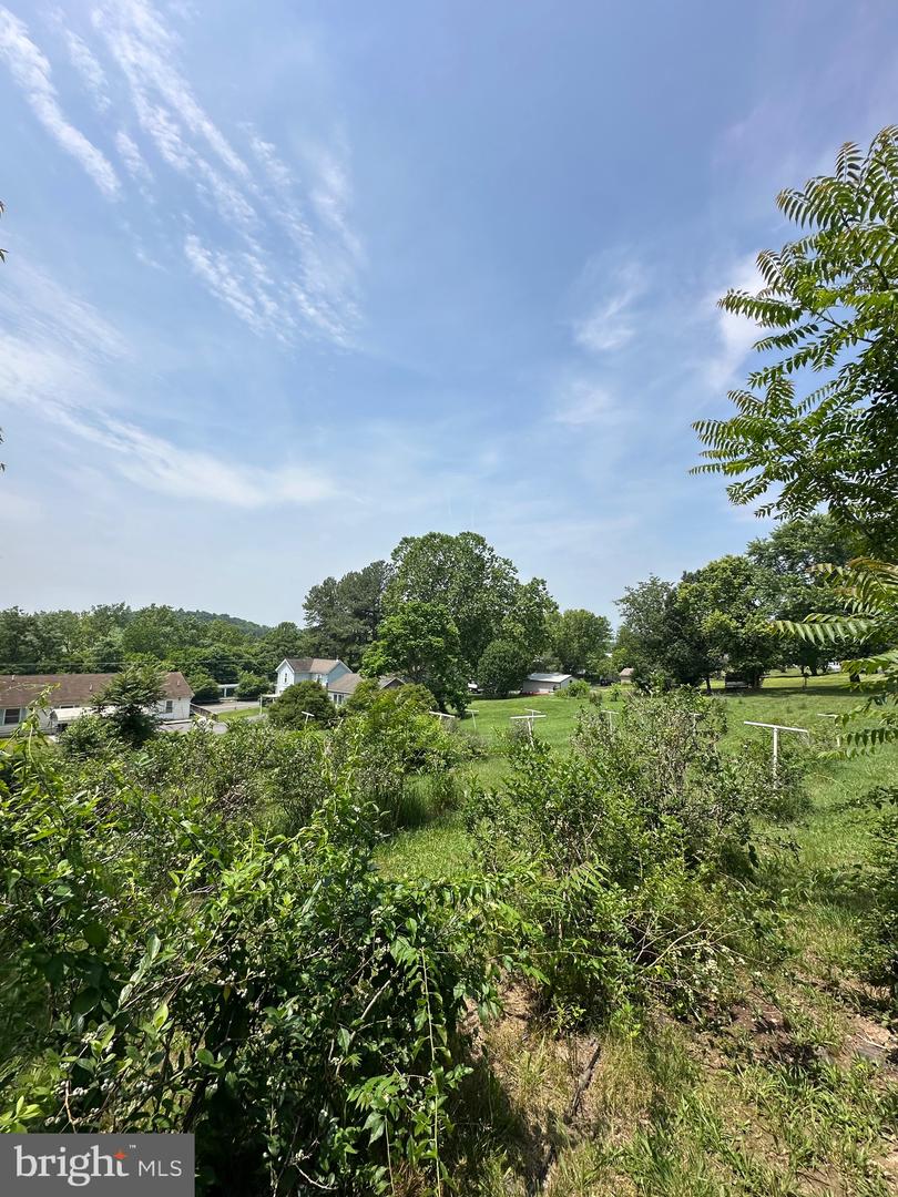 STONY CREEK BLVD #LOT C, EDINBURG, Virginia 22824, ,Land,For sale,STONY CREEK BLVD #LOT C,VASH2011730 MLS # VASH2011730