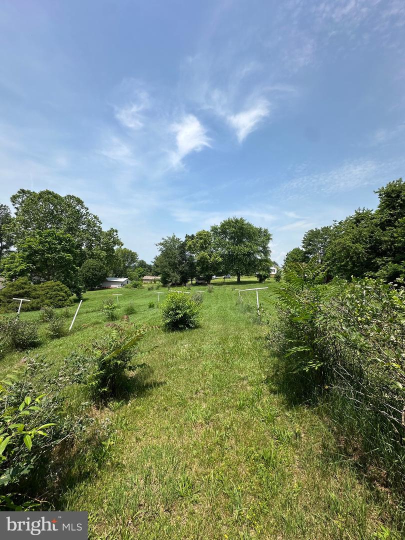 STONY CREEK BLVD #LOT C, EDINBURG, Virginia 22824, ,Land,For sale,STONY CREEK BLVD #LOT C,VASH2011730 MLS # VASH2011730