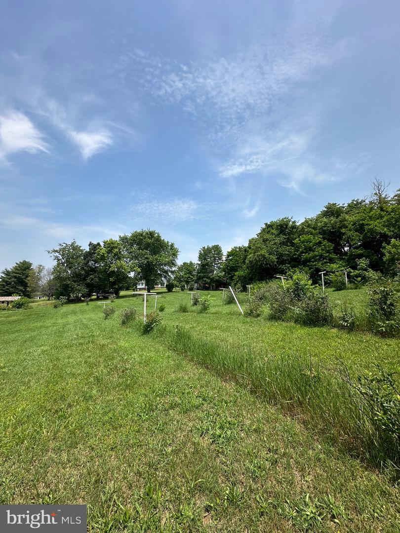 STONY CREEK BLVD #LOT C, EDINBURG, Virginia 22824, ,Land,For sale,STONY CREEK BLVD #LOT C,VASH2011730 MLS # VASH2011730