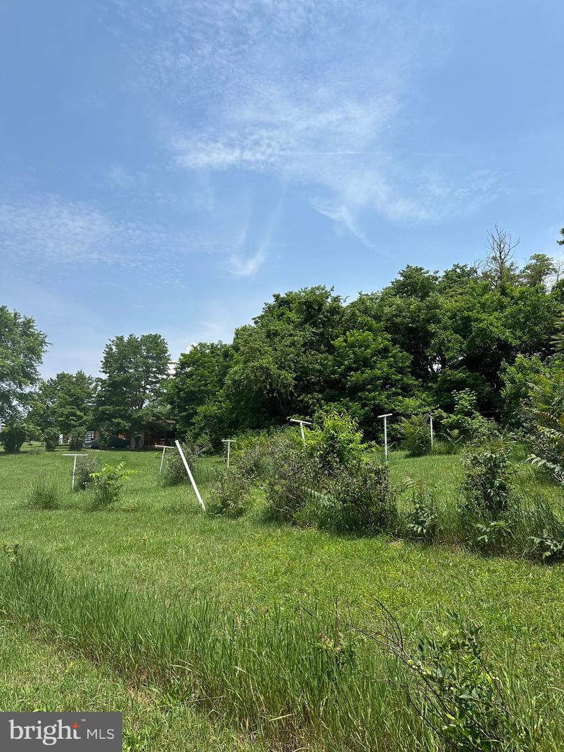STONY CREEK BLVD #LOT C, EDINBURG, Virginia 22824, ,Land,For sale,STONY CREEK BLVD #LOT C,VASH2011730 MLS # VASH2011730
