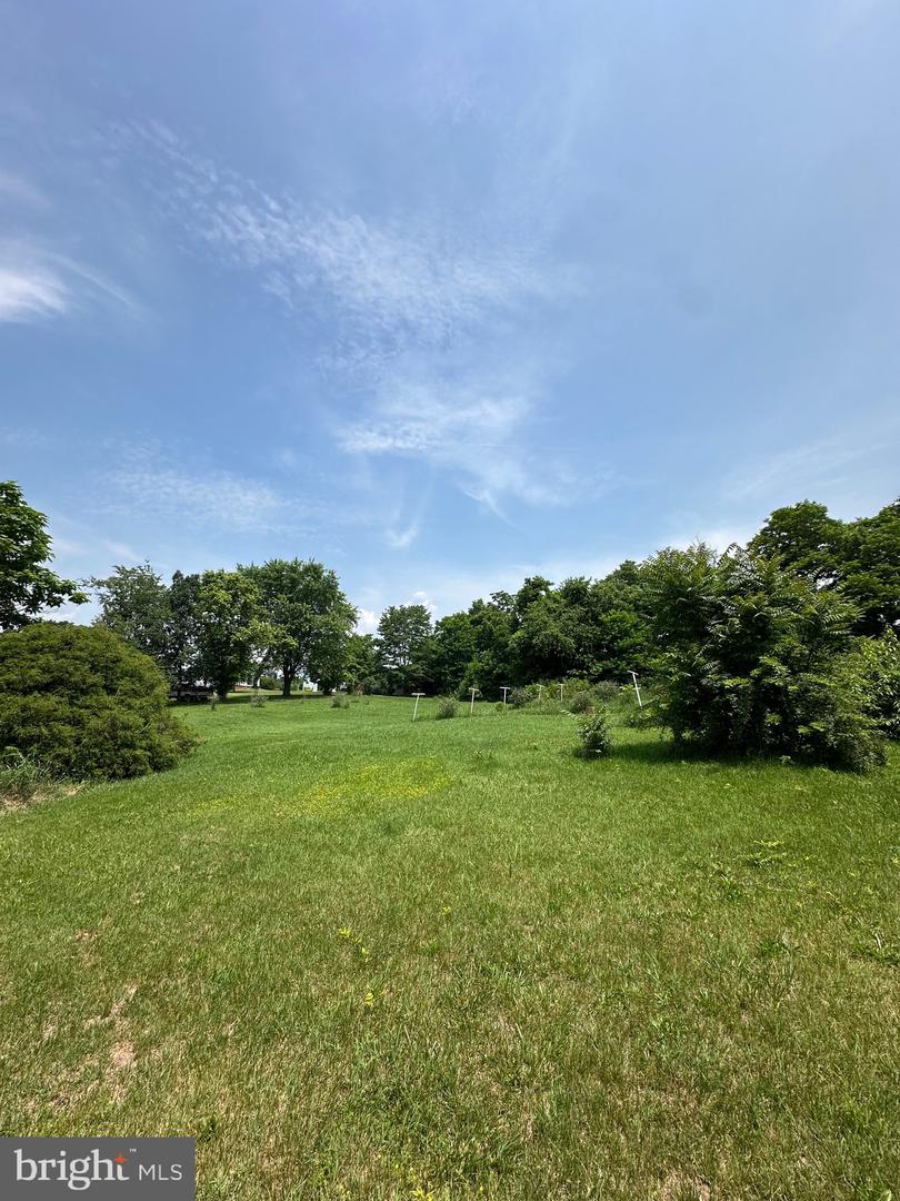 STONY CREEK BLVD #LOT C, EDINBURG, Virginia 22824, ,Land,For sale,STONY CREEK BLVD #LOT C,VASH2011730 MLS # VASH2011730