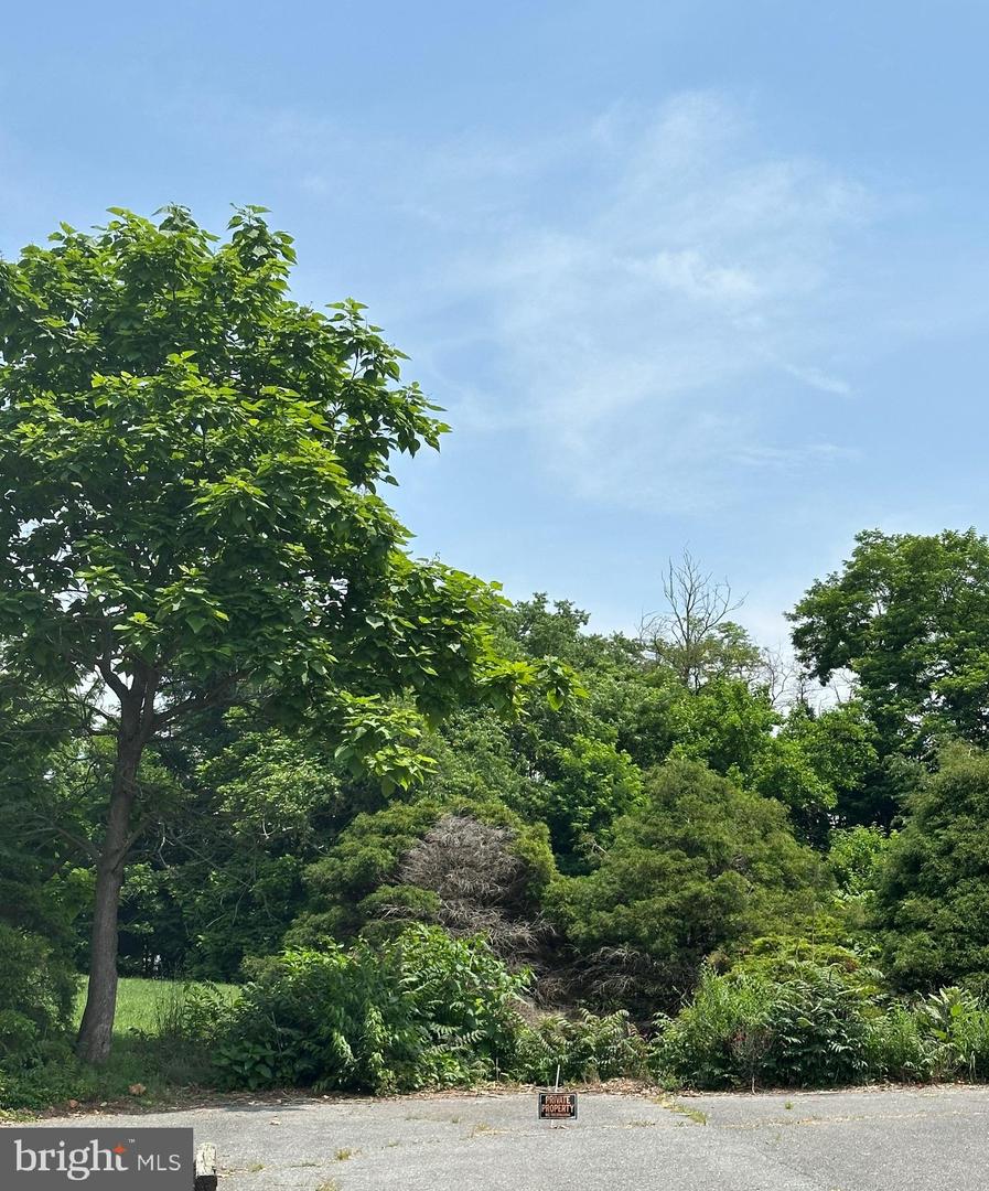 STONY CREEK BLVD #LOT C, EDINBURG, Virginia 22824, ,Land,For sale,STONY CREEK BLVD #LOT C,VASH2011730 MLS # VASH2011730