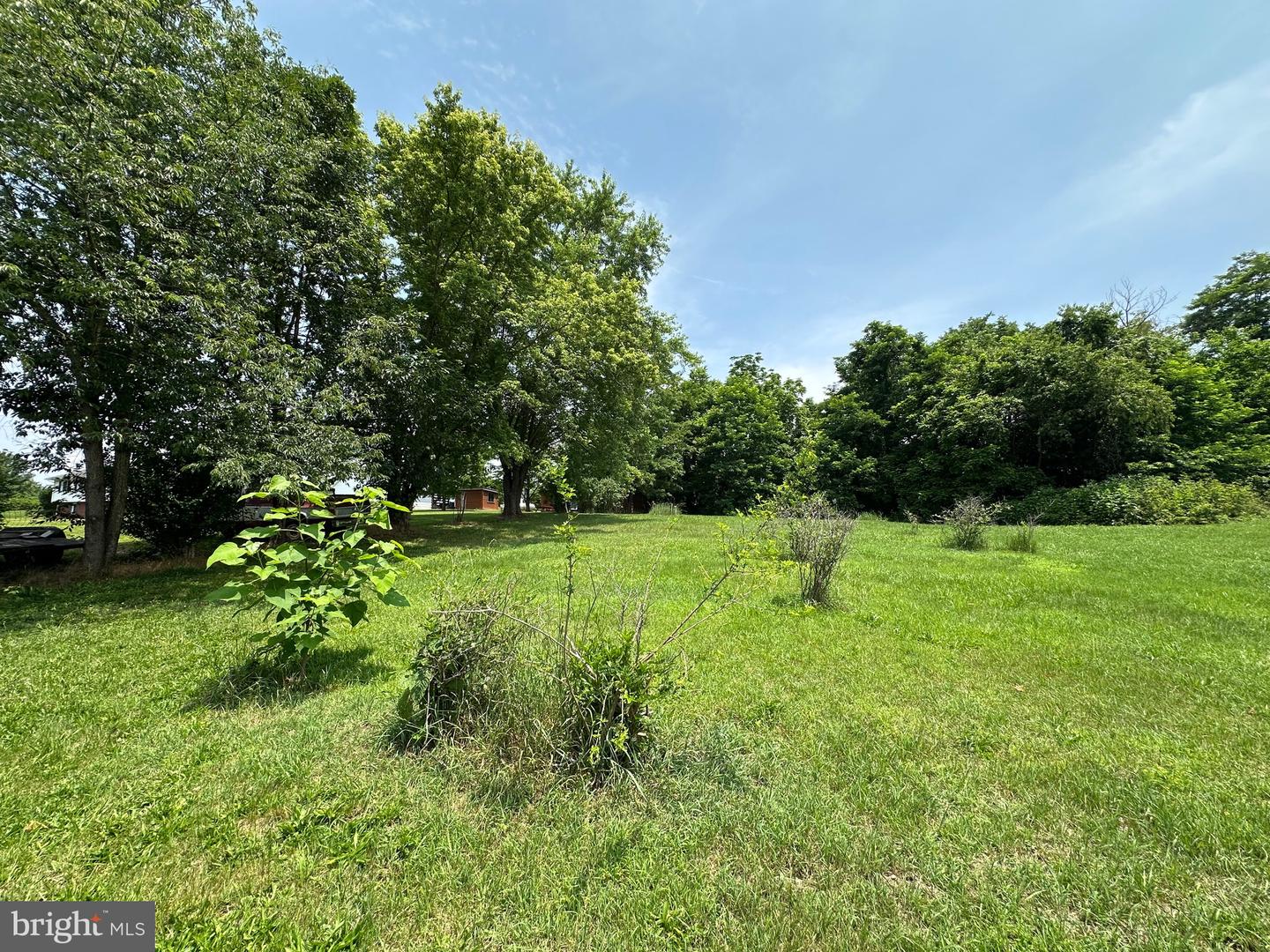 STONY CREEK BLVD #LOT C, EDINBURG, Virginia 22824, ,Land,For sale,STONY CREEK BLVD #LOT C,VASH2011730 MLS # VASH2011730