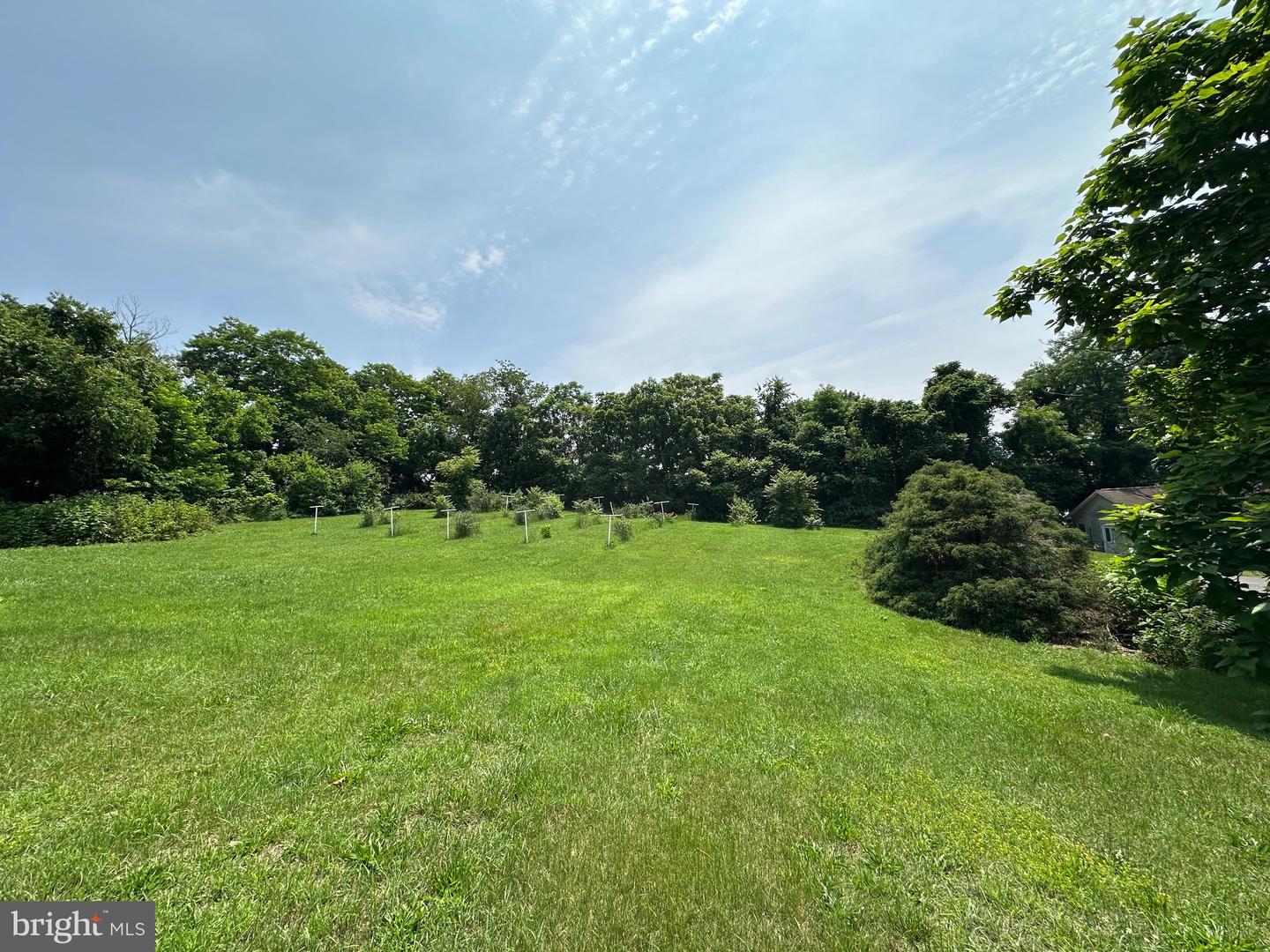 STONY CREEK BLVD #LOT C, EDINBURG, Virginia 22824, ,Land,For sale,STONY CREEK BLVD #LOT C,VASH2011730 MLS # VASH2011730
