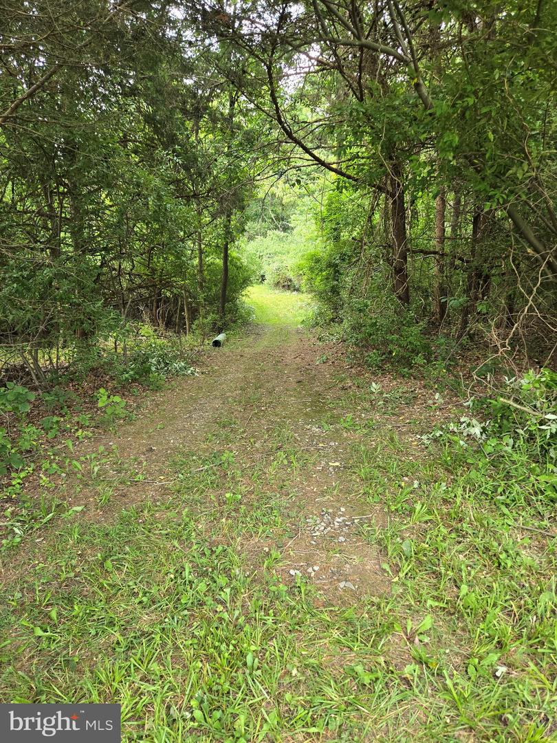 0 STAGE COACH-CHAPEL DRIVE, WOODSTOCK, Virginia 22664, ,Land,For sale,0 STAGE COACH-CHAPEL DRIVE,VASH2011732 MLS # VASH2011732