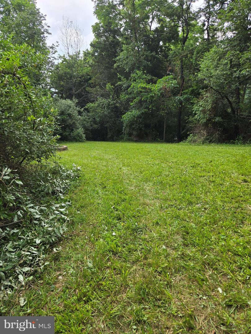 0 STAGE COACH-CHAPEL DRIVE, WOODSTOCK, Virginia 22664, ,Land,For sale,0 STAGE COACH-CHAPEL DRIVE,VASH2011732 MLS # VASH2011732