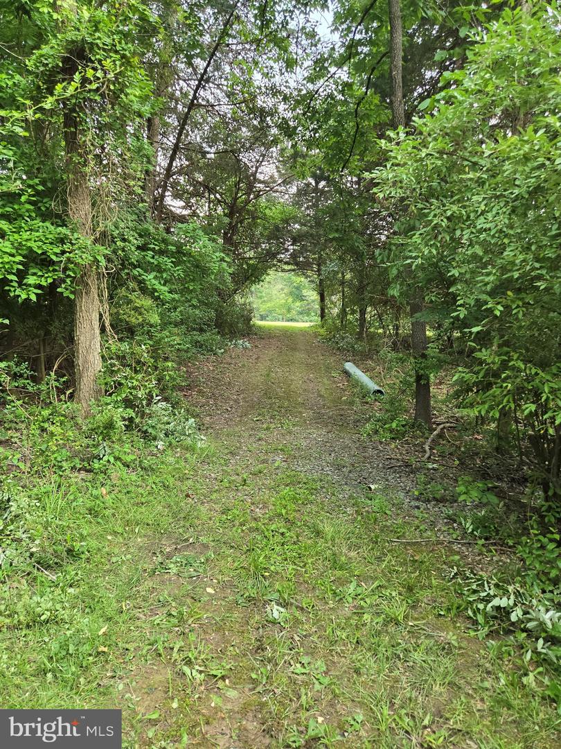 0 STAGE COACH-CHAPEL DRIVE, WOODSTOCK, Virginia 22664, ,Land,For sale,0 STAGE COACH-CHAPEL DRIVE,VASH2011732 MLS # VASH2011732