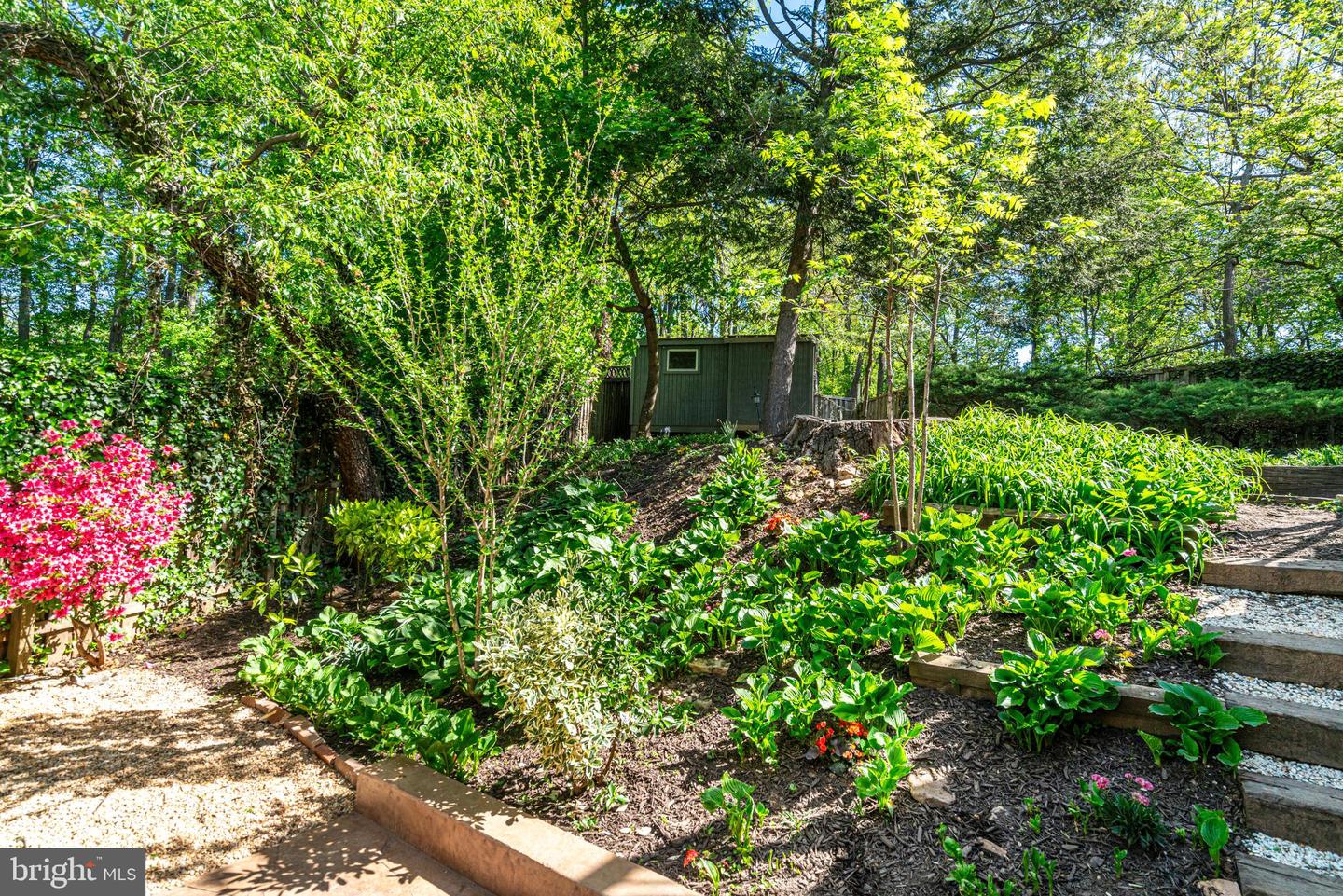 1705 N QUESADA ST, ARLINGTON, Virginia 22205, 3 Bedrooms Bedrooms, ,2 BathroomsBathrooms,Residential,For sale,1705 N QUESADA ST,VAAR2054756 MLS # VAAR2054756