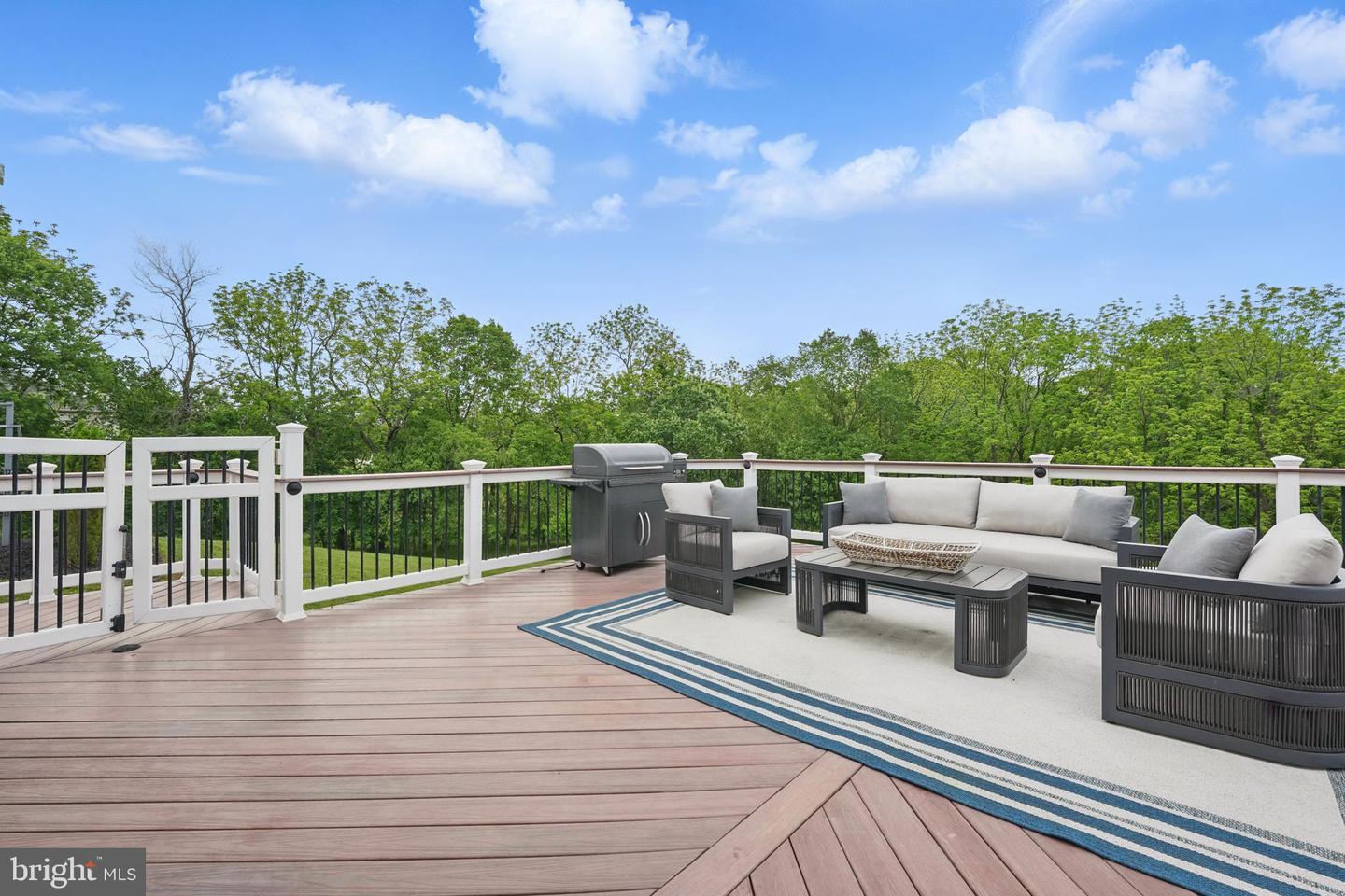 16970 CARMICHAEL PL, PURCELLVILLE, Virginia 20132, 4 Bedrooms Bedrooms, ,4 BathroomsBathrooms,Residential,For sale,16970 CARMICHAEL PL,VALO2095580 MLS # VALO2095580