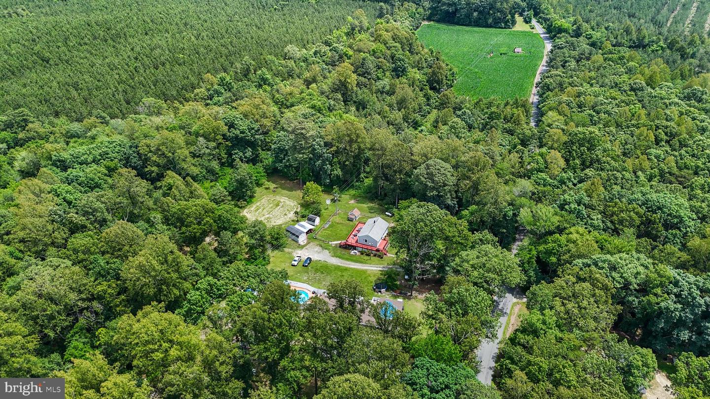 14589 DRY BRIDGE RD, RUTHER GLEN, Virginia 22546, 4 Bedrooms Bedrooms, ,2 BathroomsBathrooms,Residential,For sale,14589 DRY BRIDGE RD,VACV2008340 MLS # VACV2008340