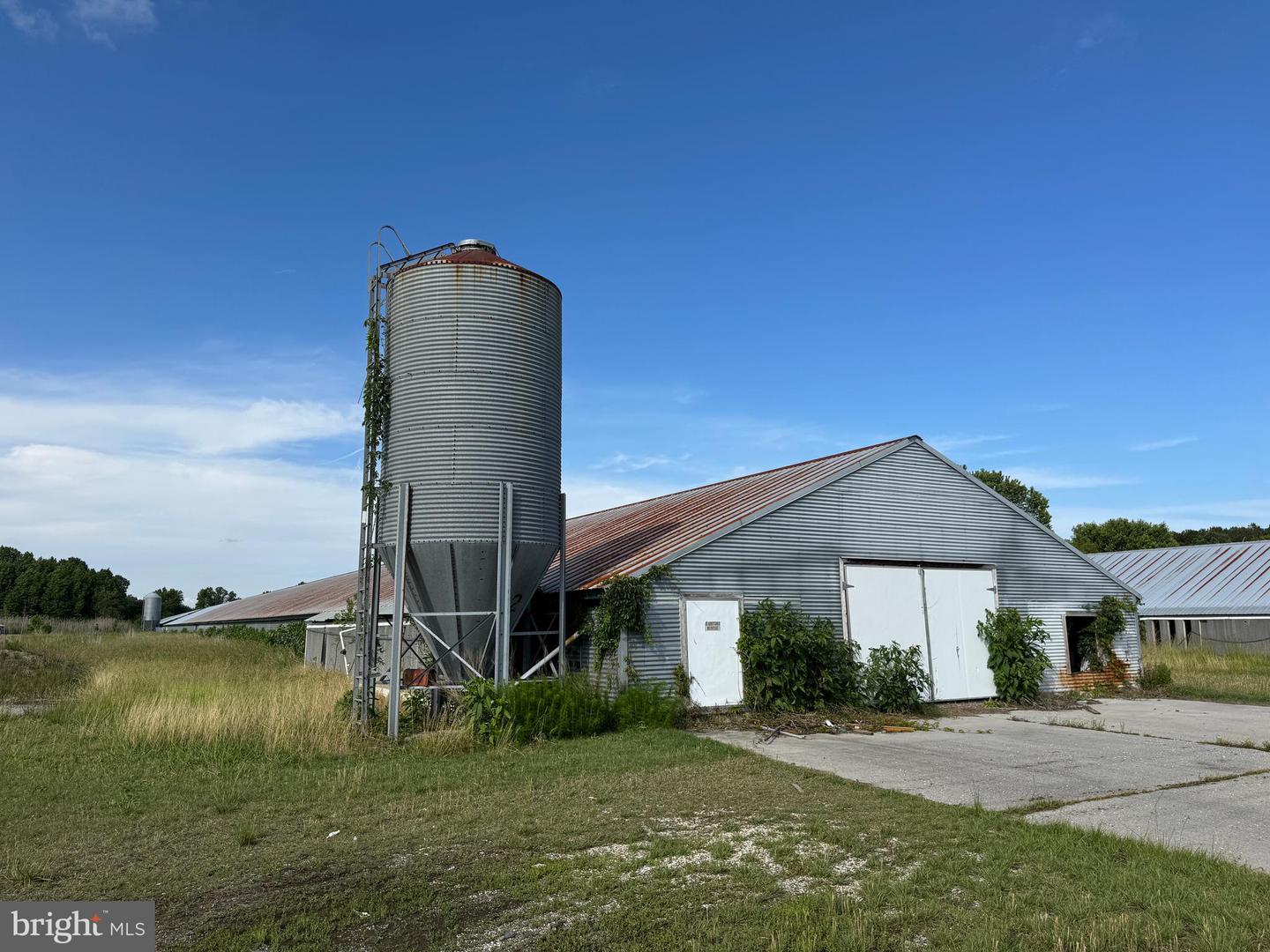 5703 NEAL PARKER RD, WITHAMS, Virginia 23488, 3 Bedrooms Bedrooms, ,2 BathroomsBathrooms,Farm,For sale,5703 NEAL PARKER RD,VAAC2001950 MLS # VAAC2001950