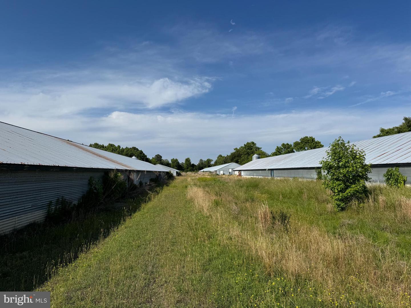 5703 NEAL PARKER RD, WITHAMS, Virginia 23488, 3 Bedrooms Bedrooms, ,2 BathroomsBathrooms,Farm,For sale,5703 NEAL PARKER RD,VAAC2001950 MLS # VAAC2001950