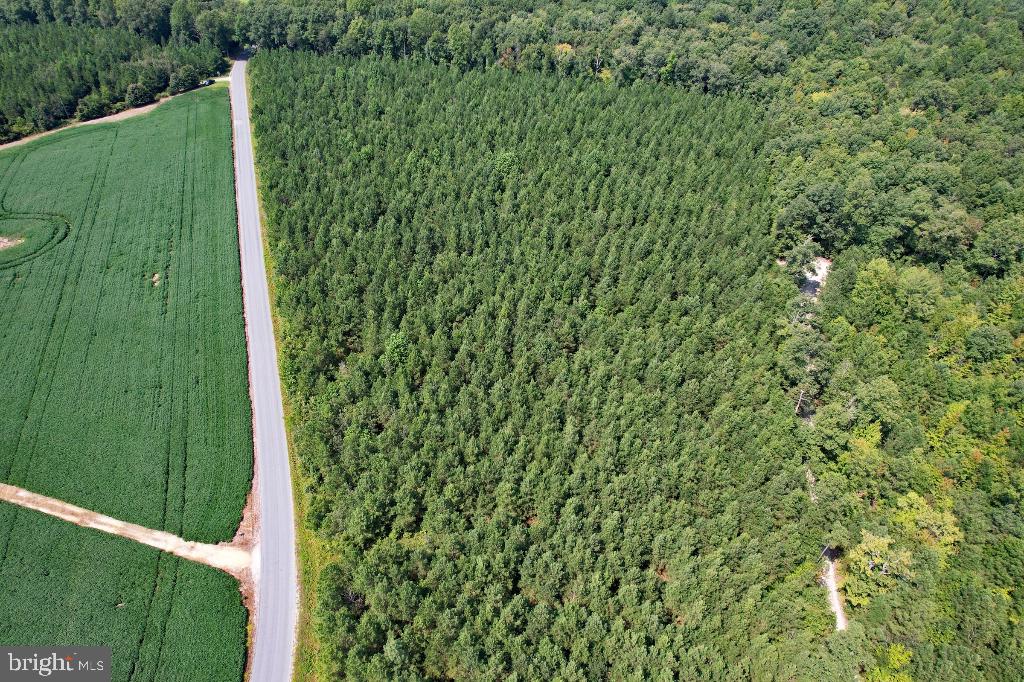 0 LEWIS MOORE RD, RUTHER GLEN, Virginia 22546, ,Land,For sale,0 LEWIS MOORE RD,VACV2008342 MLS # VACV2008342