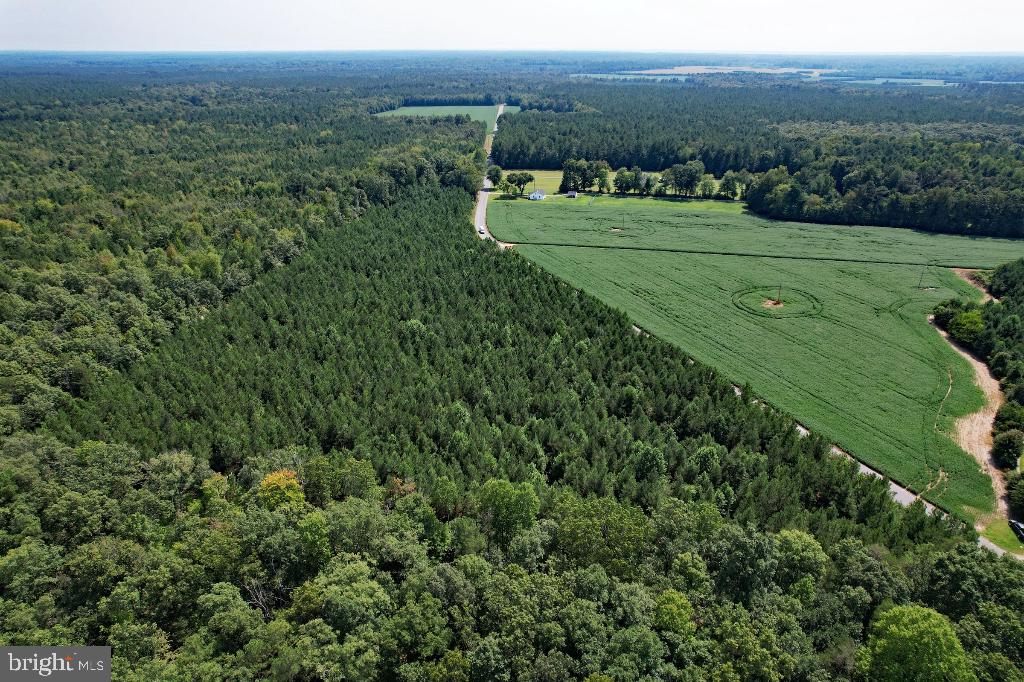 0 LEWIS MOORE RD, RUTHER GLEN, Virginia 22546, ,Land,For sale,0 LEWIS MOORE RD,VACV2008342 MLS # VACV2008342