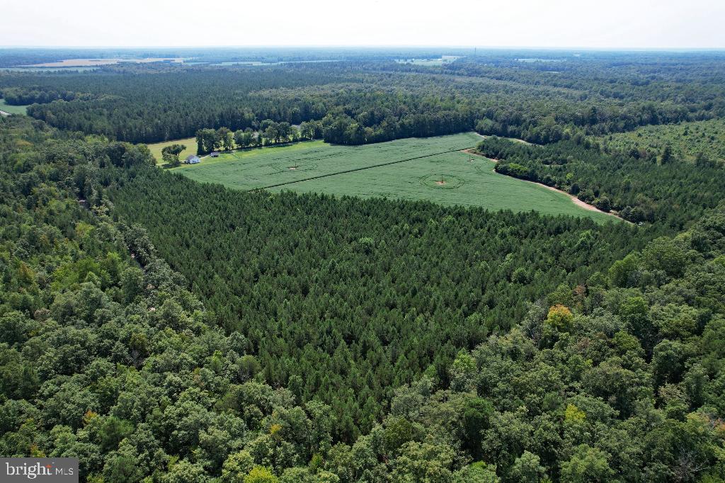 0 LEWIS MOORE RD, RUTHER GLEN, Virginia 22546, ,Land,For sale,0 LEWIS MOORE RD,VACV2008342 MLS # VACV2008342