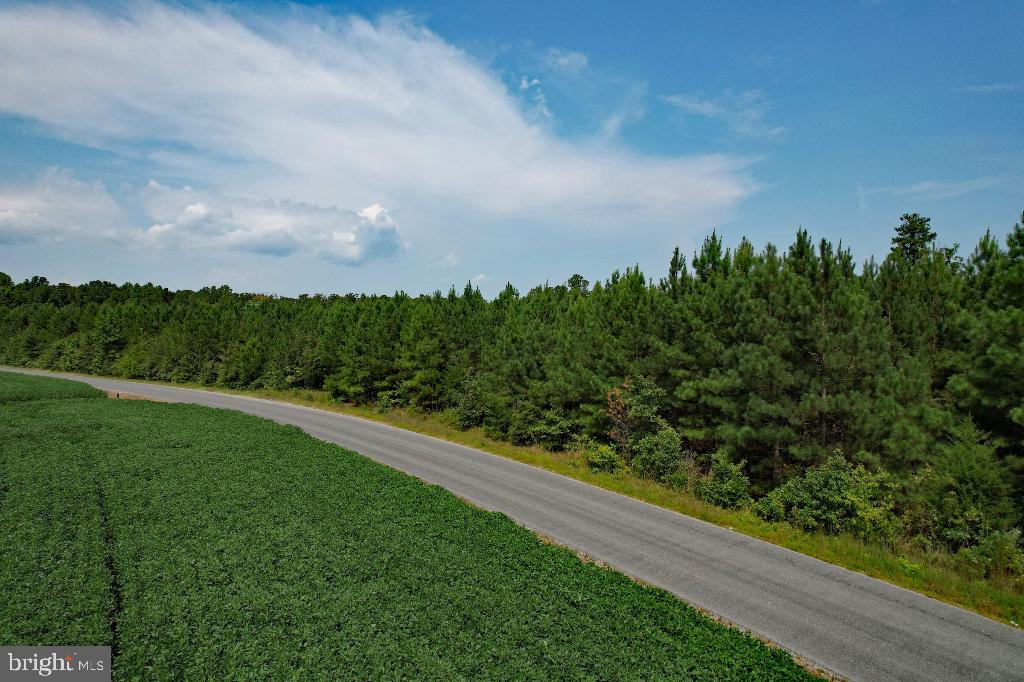 0 LEWIS MOORE RD, RUTHER GLEN, Virginia 22546, ,Land,For sale,0 LEWIS MOORE RD,VACV2008342 MLS # VACV2008342