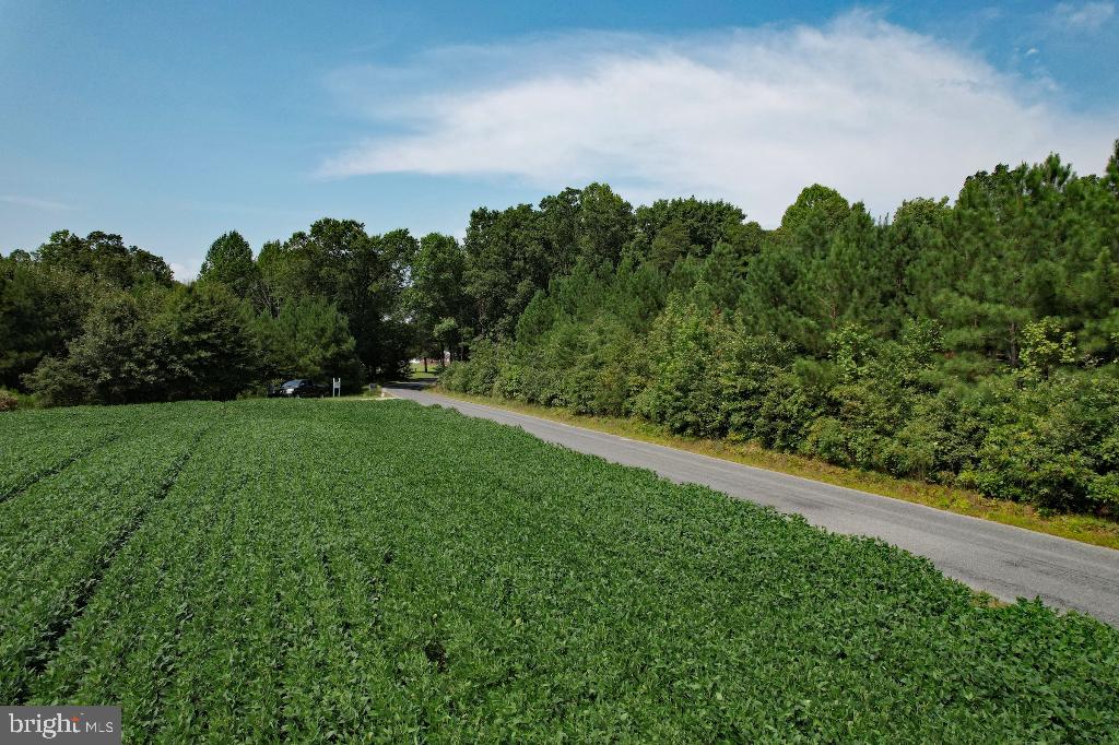 0 LEWIS MOORE RD, RUTHER GLEN, Virginia 22546, ,Land,For sale,0 LEWIS MOORE RD,VACV2008342 MLS # VACV2008342