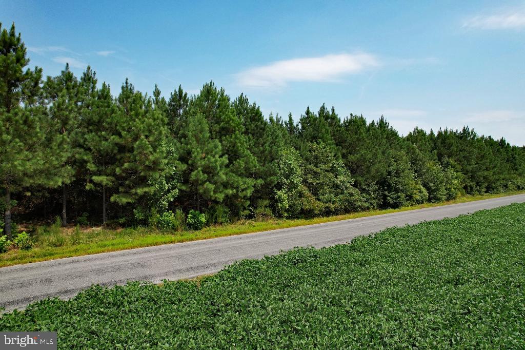 0 LEWIS MOORE RD, RUTHER GLEN, Virginia 22546, ,Land,For sale,0 LEWIS MOORE RD,VACV2008342 MLS # VACV2008342