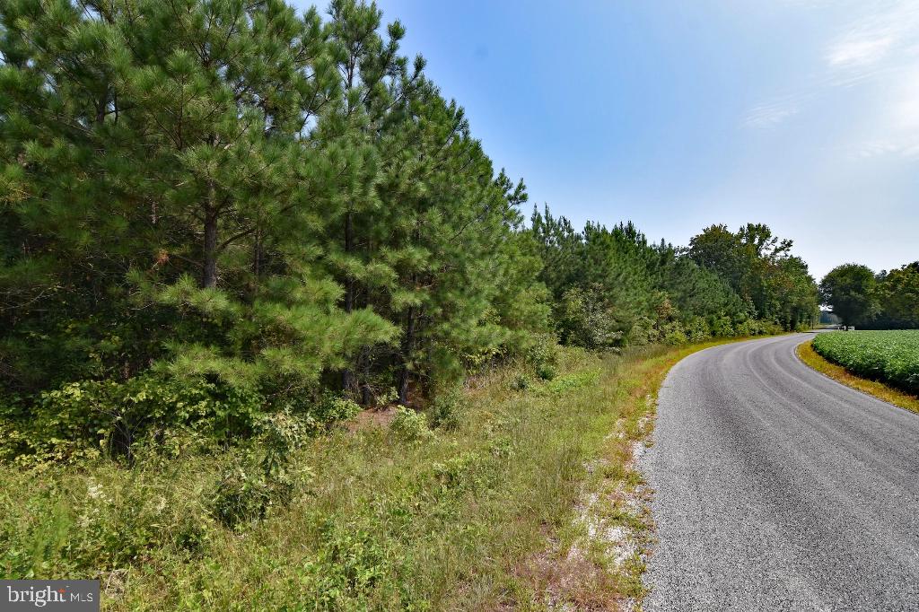 0 LEWIS MOORE RD, RUTHER GLEN, Virginia 22546, ,Land,For sale,0 LEWIS MOORE RD,VACV2008342 MLS # VACV2008342