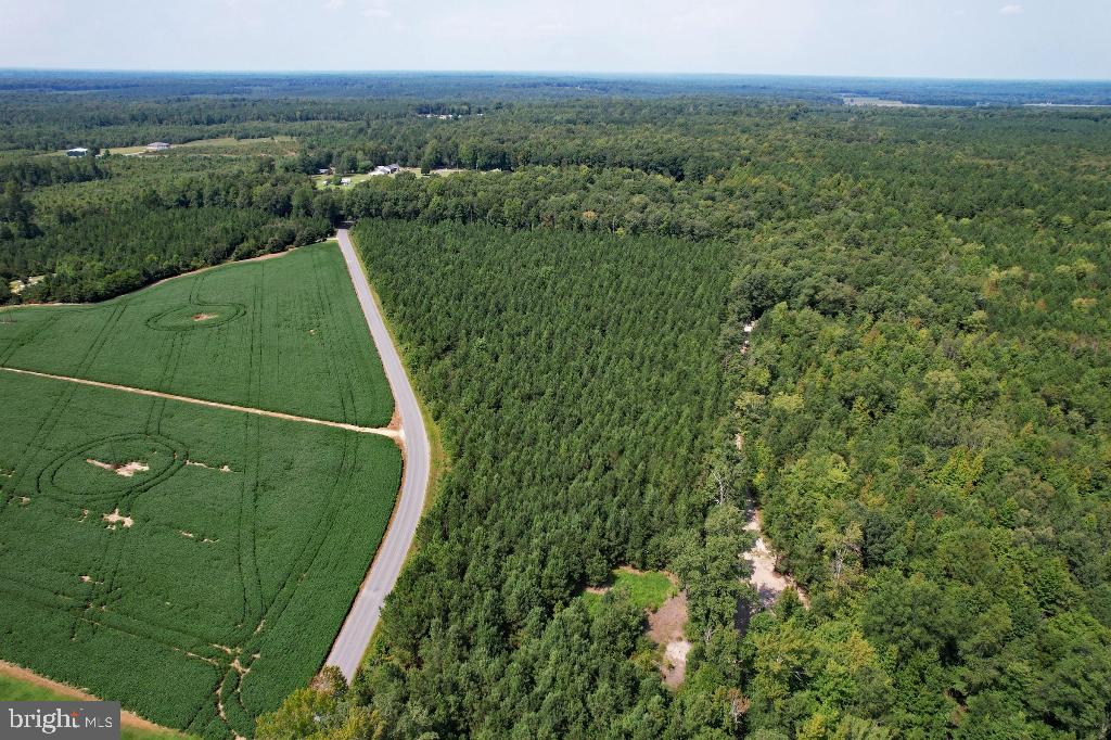 0 LEWIS MOORE RD, RUTHER GLEN, Virginia 22546, ,Land,For sale,0 LEWIS MOORE RD,VACV2008342 MLS # VACV2008342