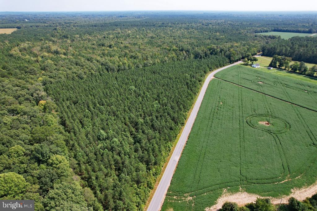 0 LEWIS MOORE RD, RUTHER GLEN, Virginia 22546, ,Land,For sale,0 LEWIS MOORE RD,VACV2008342 MLS # VACV2008342